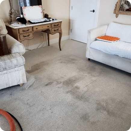 Carpet Before Cleaning
